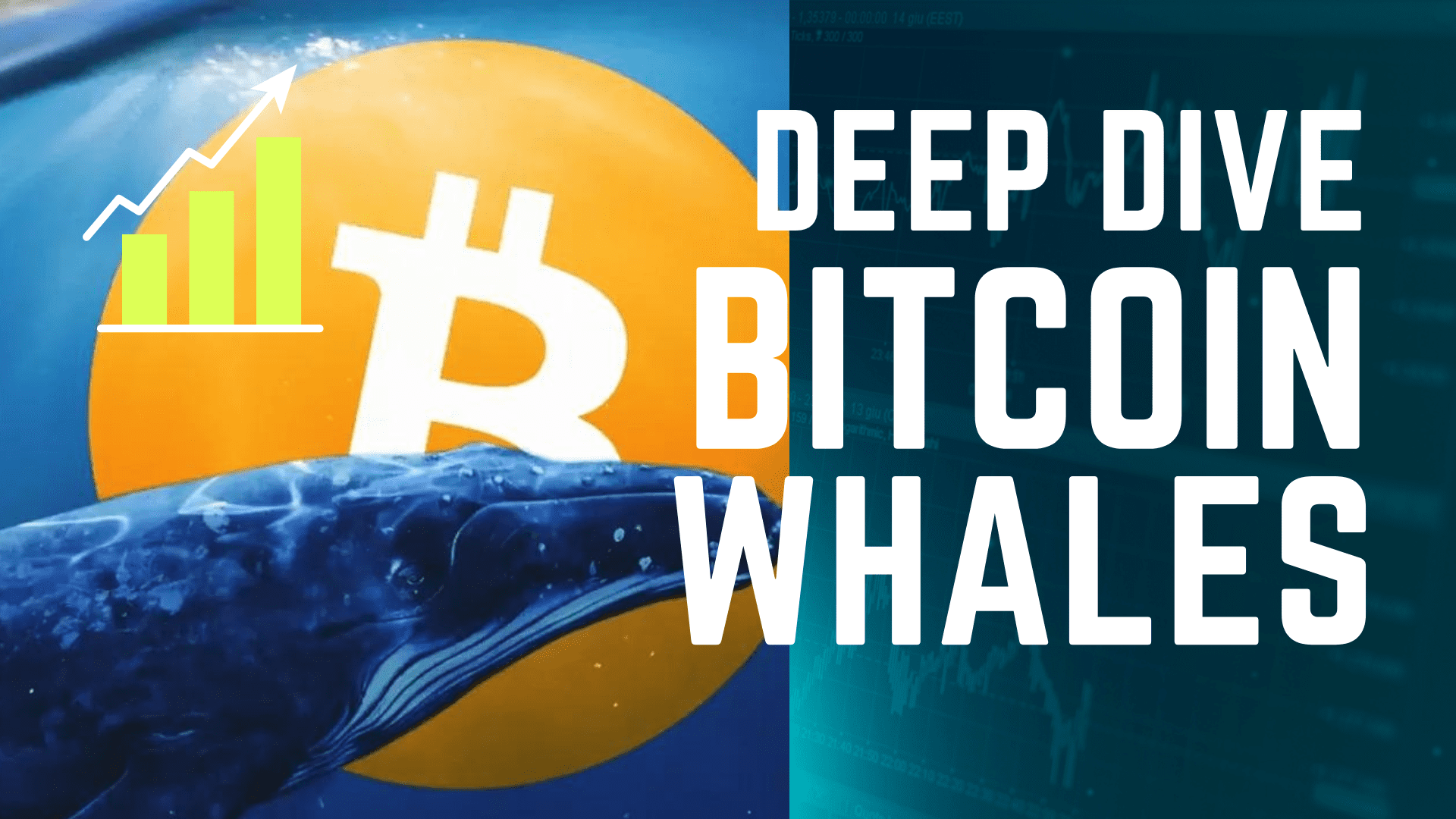 Bitcoin ecosystem