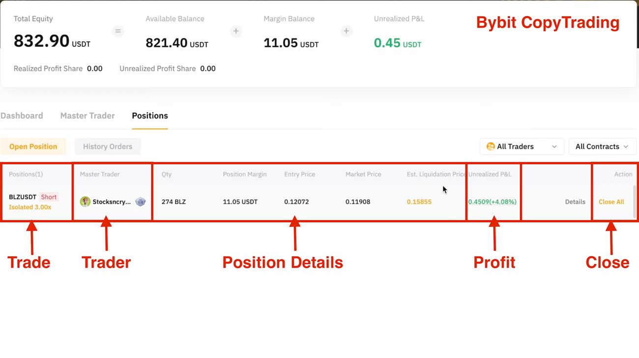 Bybit Copy Trading