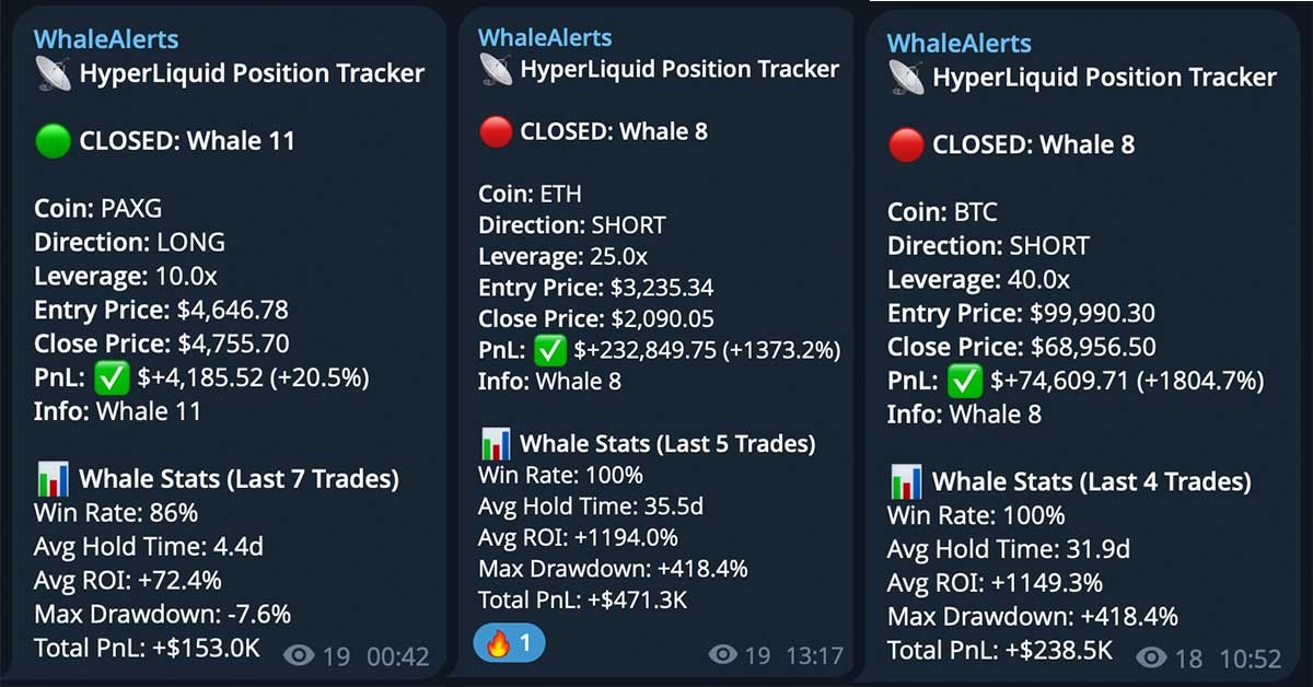 Whalestreet notification example